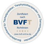 Logo BVFT - Berufsfachverband