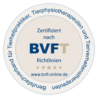 BVFT - Berufsfachverband