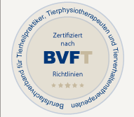 BVFT Siegel